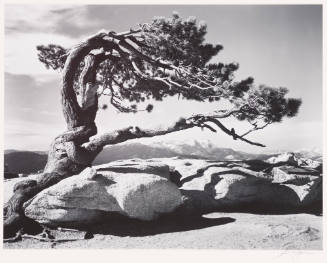 Ansel Adams