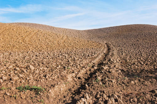 Plowed Earth and Sky, Italy