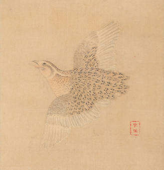 Quail in Flight