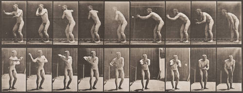 Baseball, Catching and Throwing