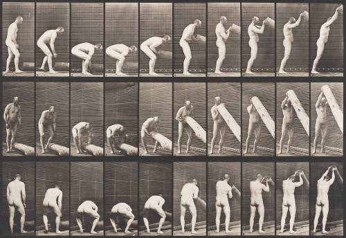 Lifting a Log on End