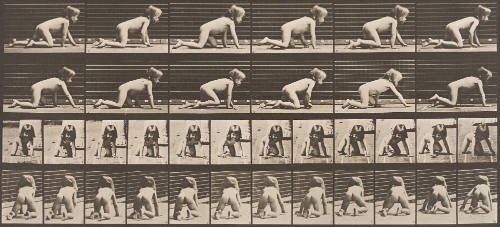 Child Crawling on Hands and Knees