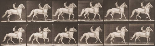 "Clinton" Ambling, Bareback; Rider Nude