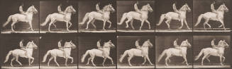 "Clinton" Ambling, Bareback; Rider Nude