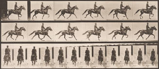 "Pronto" Pacing, Saddled