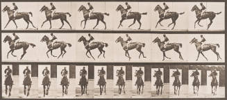 "Annie G." Cantering, Saddled