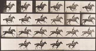 "Bouquet" Galloping