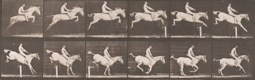 "Pandora" Jumping a Hurdle, Bareback, Clearing and Landing
