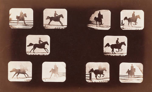 Horse Jumping Over Fence